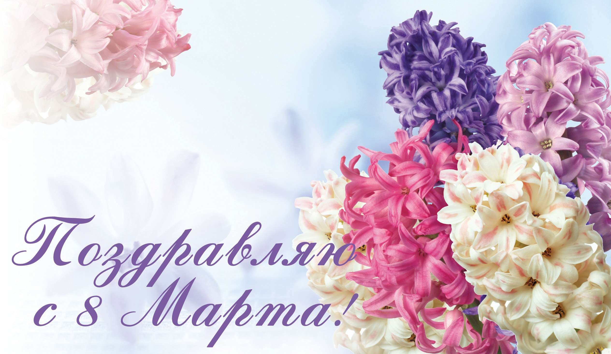 2018Holidays___International_Womens_Day_Greeting_card_with_spring_flowers_hyacinths_on_March_8_130557_